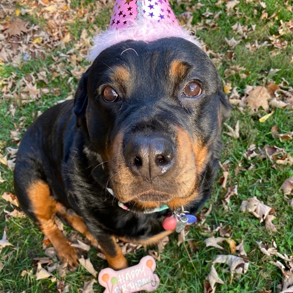 Meet your Part time Posher, full time zoo keeper - Picture 9 of 15